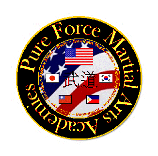 Pure Force Martial Arts Logo