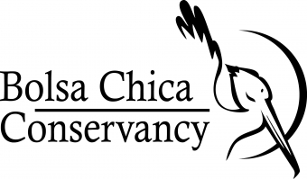 Bolsa Chica Conservancy Logo