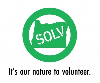 SOLV Logo