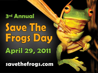 Save the Frogs!  Logo