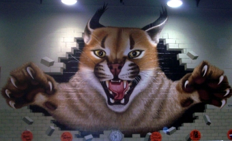 Struthers High School Logo