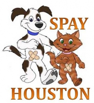 Adopt A Cat, Inc. DBA Spay/Houston | K12 Academics