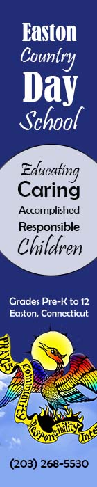 Advertisement Banner