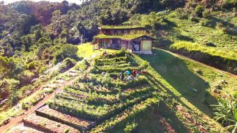 VOLUNTEER IN BRAZIL AT AN AGROFORESTRY & BIOCONSTRUCTION FARM Logo