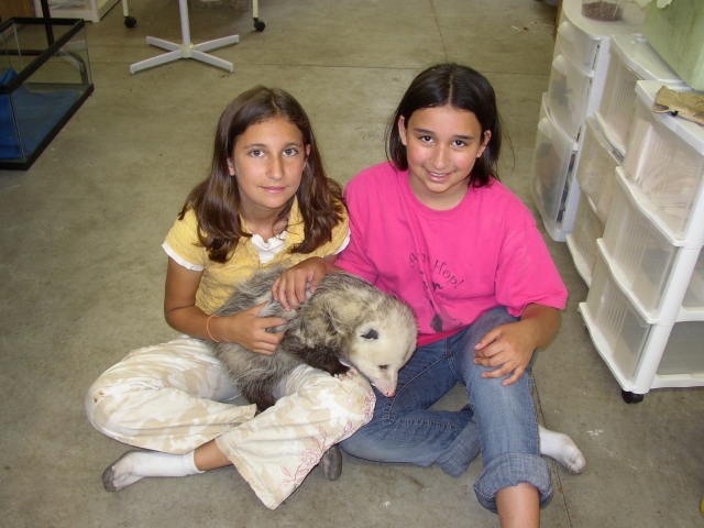 possumwood acres wildlife sanctuary k12 academics