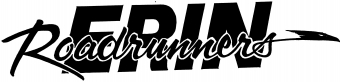 Erin School District Logo