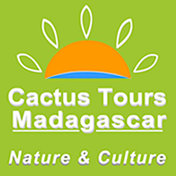 Cactus Tours Madagascar Logo