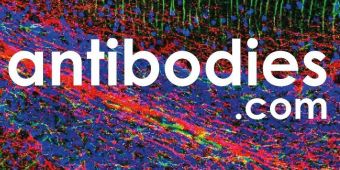 Antibodies.com Scholarship Program Logo