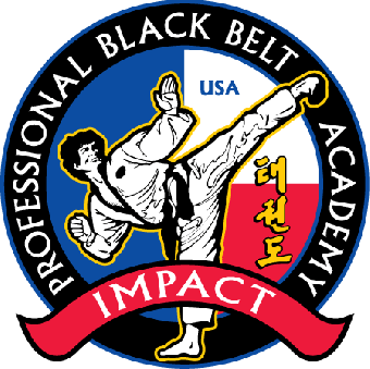 Impact Martial Arts Logo