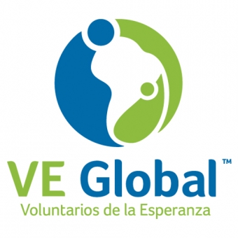 VE Global Logo