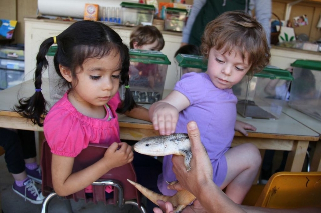 The Language Garden Community Preschool K12 Academics