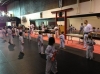 Eshin Karate