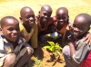 The Fruit Tree Planting Association - Uganda