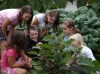 Wampatuck School Organic Garden