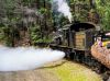Yosemite Mountain Sugar Pine Railroad