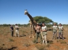 African Conservation Experience