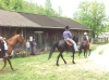 Heritage Farm Museum & Village