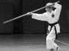 Japan Internatinal Karate Academy