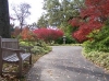 Memphis Botanic Garden