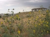 Bluff Lake Nature Center