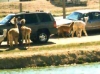 African Safari Wildlife Park