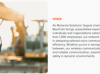 Bear Communications, Inc.  dba Bearcom