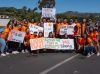 National Multiple Sclerosis Society - Walk MS