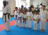 American Shotokan Karate Acdemy