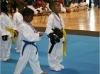 American Shotokan Karate Acdemy