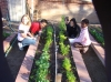 Cragin Elementary School Garden