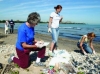 Chicago Conservation Corps