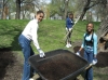 Chicago Conservation Corps