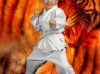 Lee's Karate Inc.