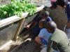 The Patriot's Sanctuary Outdoor Garden Classroom