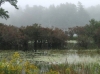 Friends of Myles Standish State Forest