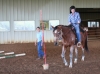 Wings of Hope Equitherapy