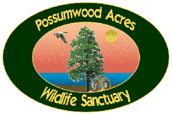 possumwood acres wildlife sanctuary k12 academics