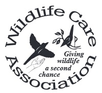 Wildlife Care Association Logo