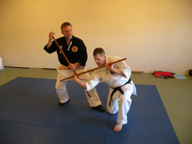 ryu kyu kempo