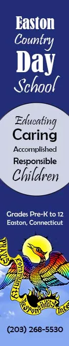 Advertisement Banner